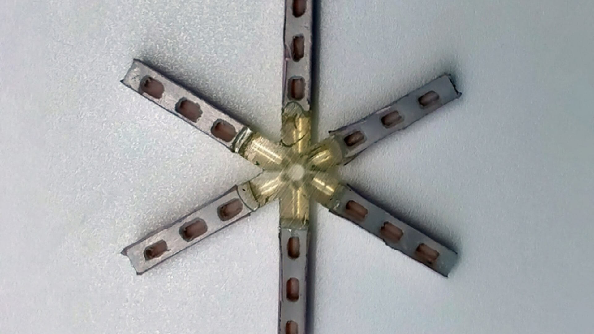 Разработаны контрацептивы, которые можно принимать только раз в месяц. Внешний вид раскрытых капсул. Выглядит страшновато. Фото.