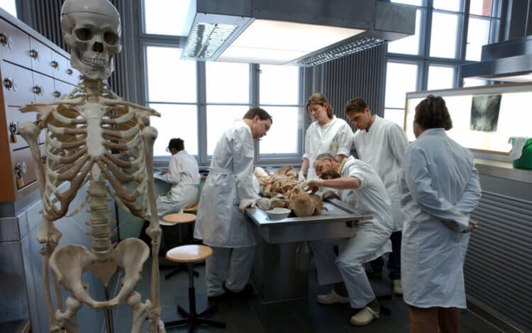 Что делают с пожертвованным телом? Студенты медицинских учреждений исследуют тело человека. Фото.
