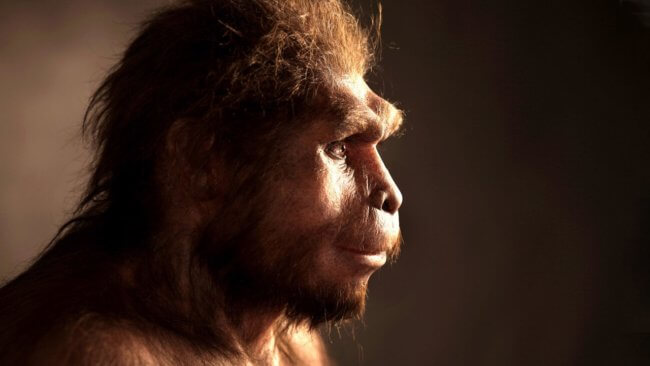 Обнаруженные останки предков человека меняют наше представление об эволюции Homo Sapiens. Фото.
