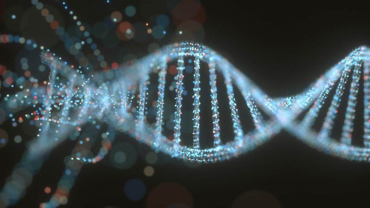 Почему средняя продолжительность жизни человека должна составлять всего 38 лет? Оценка естественной продолжительности жизни проводилась путем анализа ДНК. Фото.