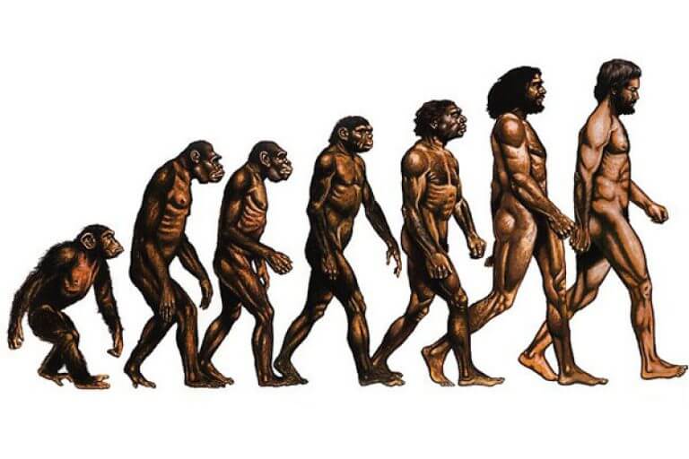 Теория эволюции. Кто реальный автор теории эволюции? Фото.