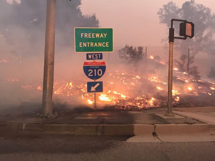 Как горит наша планета? Огонь из калифорнийских лесов проникал даже в города. Фото.
