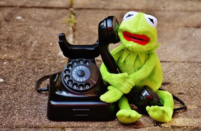 Создан телефон для лягушек. Но зачем он нужен? Фото.