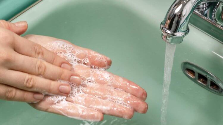 Почему так важно мыть руки перед едой? Мытье рук важно для нашего здоровья. Фото.