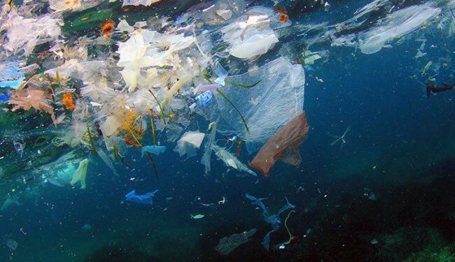 5 способов использовать бывший в употреблении пластик без вреда для окружающей среды. Фото.