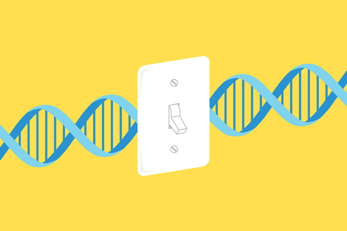 Копирование генов. Сегодня ученые могут “включать” и “выключать” некоторые гены в лабораторных условиях. Фото.