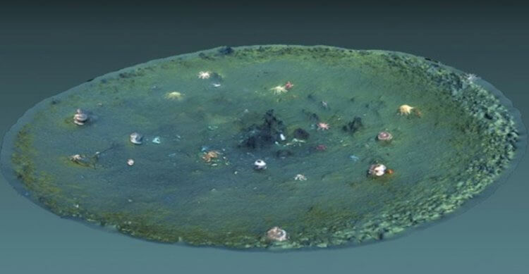 Еще одна загадка Тихого Океана. 3D-визуализация загадочных углублений. Фото.