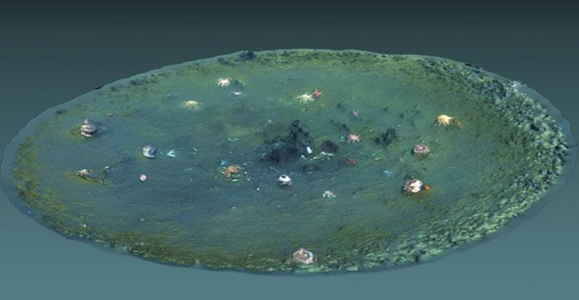Еще одна загадка Тихого Океана. 3D-визуализация загадочных углублений. Фото.