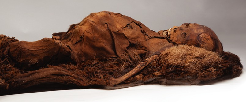 Мумия древнего жителя Гренландии. Фото.
