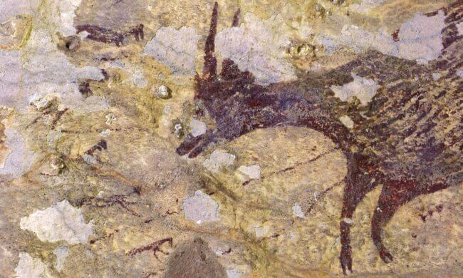 Найден самый древний наскальный рисунок с изображением охоты. Фото.