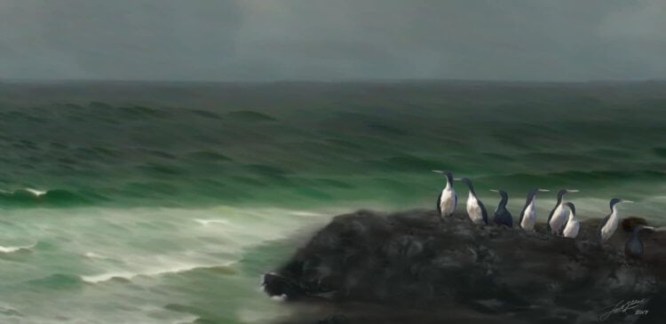 Самый молодой предок пингвинов. Пингвины Kupoupou stilwelli в представлении художника Джейкоба Блокланда. Фото.