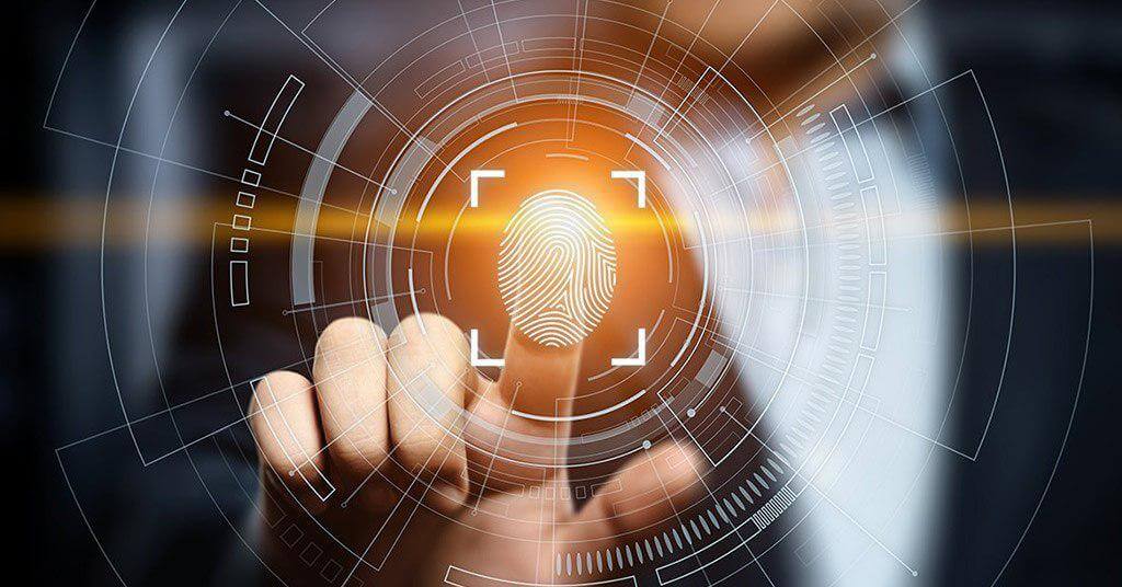 Для чего у человека узоры на пальцах рук? Папиллярный узор может играть большую роль в чувстве осязания. Фото.