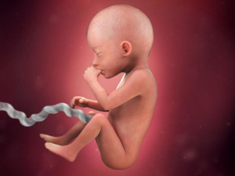 Что видят младенцы в утробе матери? Уже к 15 неделе своего развития плод способен различать свет и темноту. Фото.