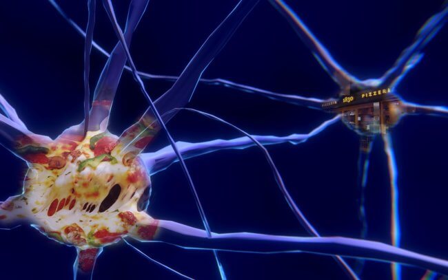 Впервые созданы искусственные нейроны, пригодные для трансплантации. Фото.