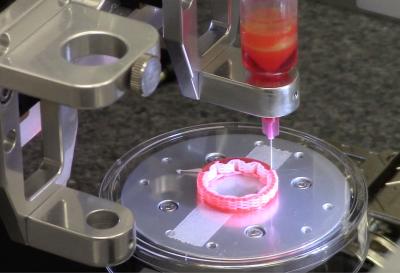 Как напечатать орган на 3D-принтере. Процесс создания трахеи на биопринтере. Фото.