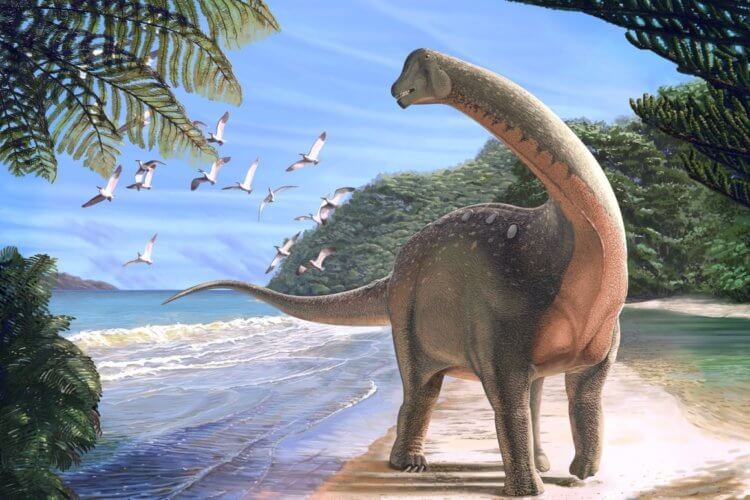 В России найдены останки самого большого динозавра в истории. Завроподов можно узнать по их длинной шее. Фото.