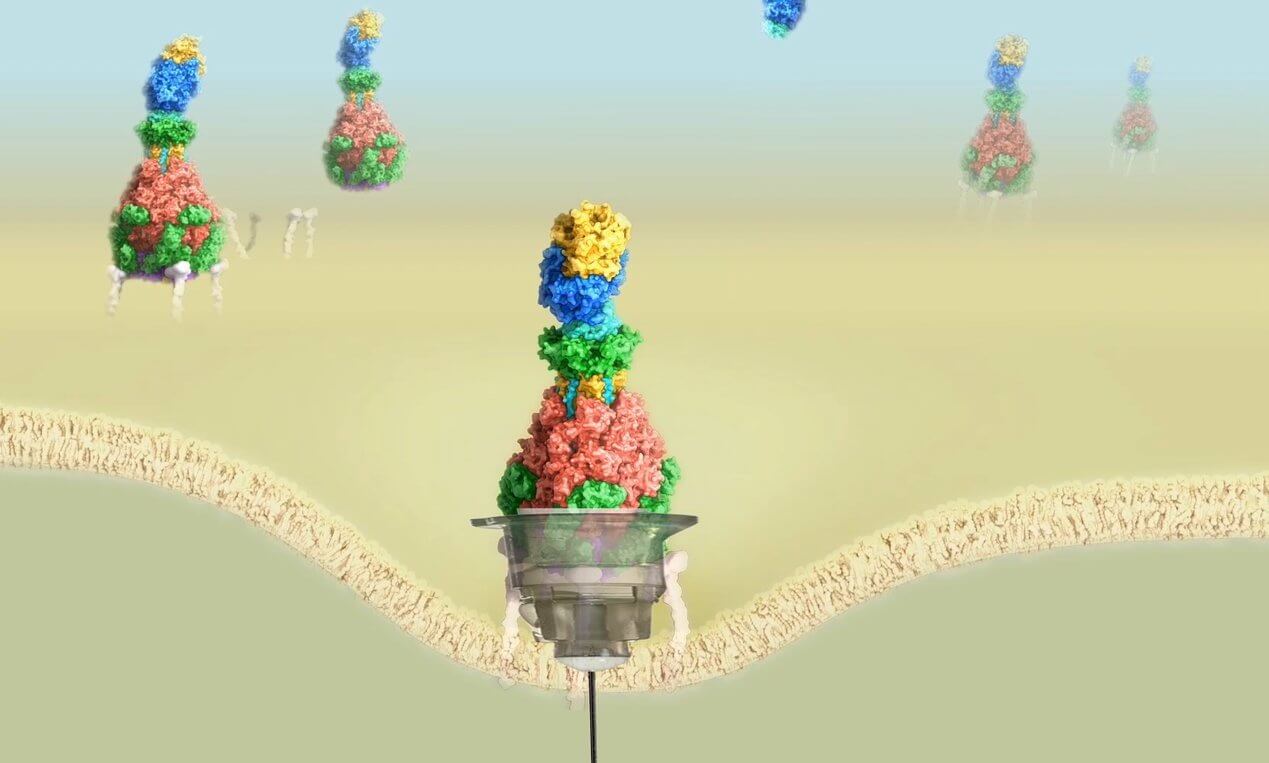 Особые наношприцы будут прицельно убивать раковые клетки. Наношприцы помогут в лечении опасных заболеваний. Фото.