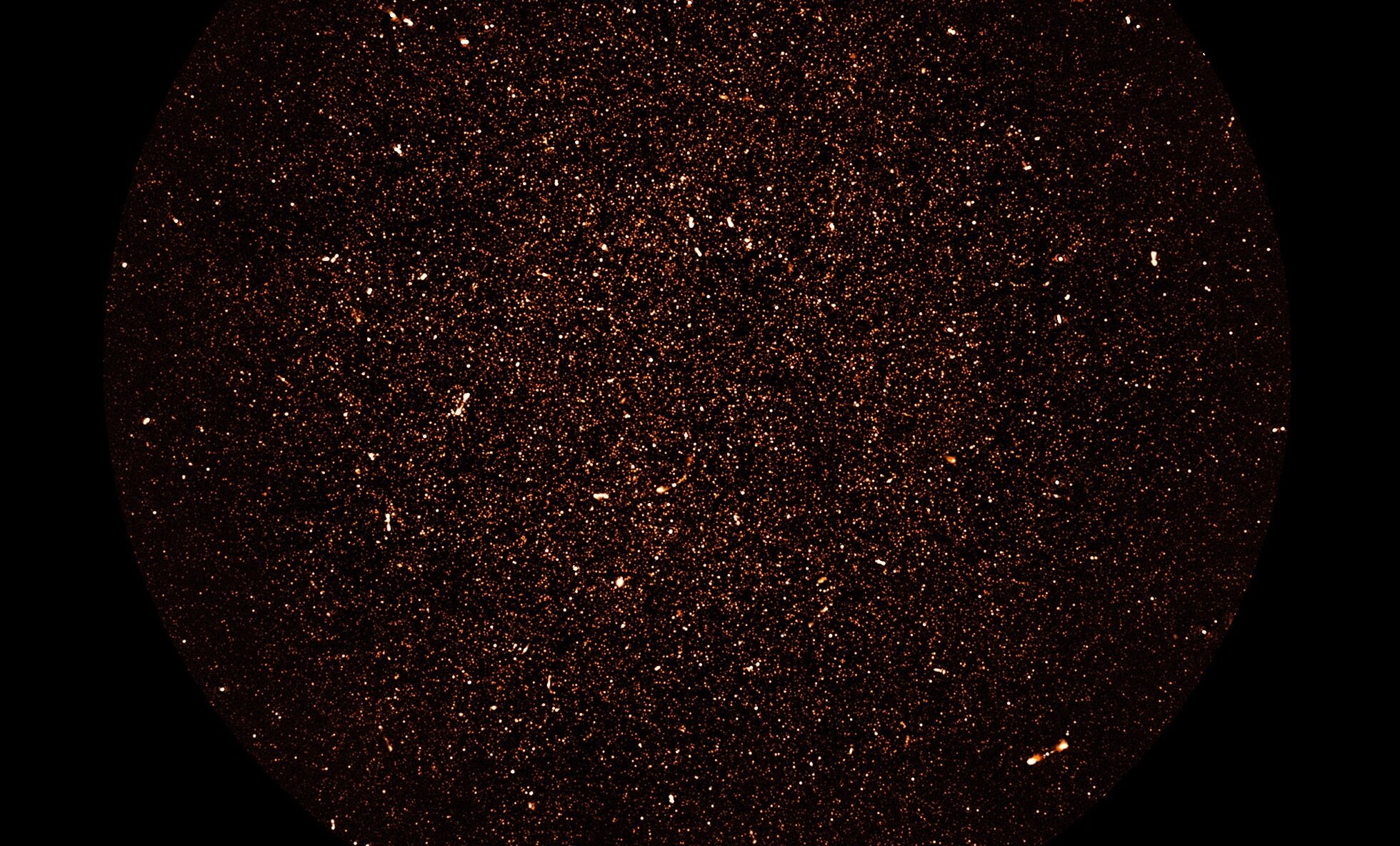 Далекие галактики раскрывают тайну формирования звезд во Вселенной. Новое радиоизображение покрыто точками, каждая из которых представляет собой далекую галактику. Многочисленные тусклые точки, заполняющие небо — это далекие галактики, похожие на Млечный Путь, которые мы видим впервые. Далекие галактики раскрывают тайну формирования звезд во Вселенной. Новое радиоизображение покрыто точками, каждая из которых представляет собой далекую галактику. Многочисленные тусклые точки, заполняющие небо — это далекие галактики, похожие на Млечный Путь, которые мы видим впервые. Фото.