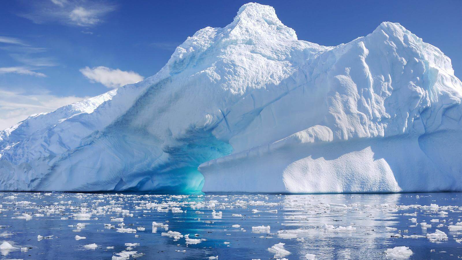 Почему вымирают животные? Таяние ледников происходит в результате изменения климата — основной угрозы нашей цивилизации. Фото.