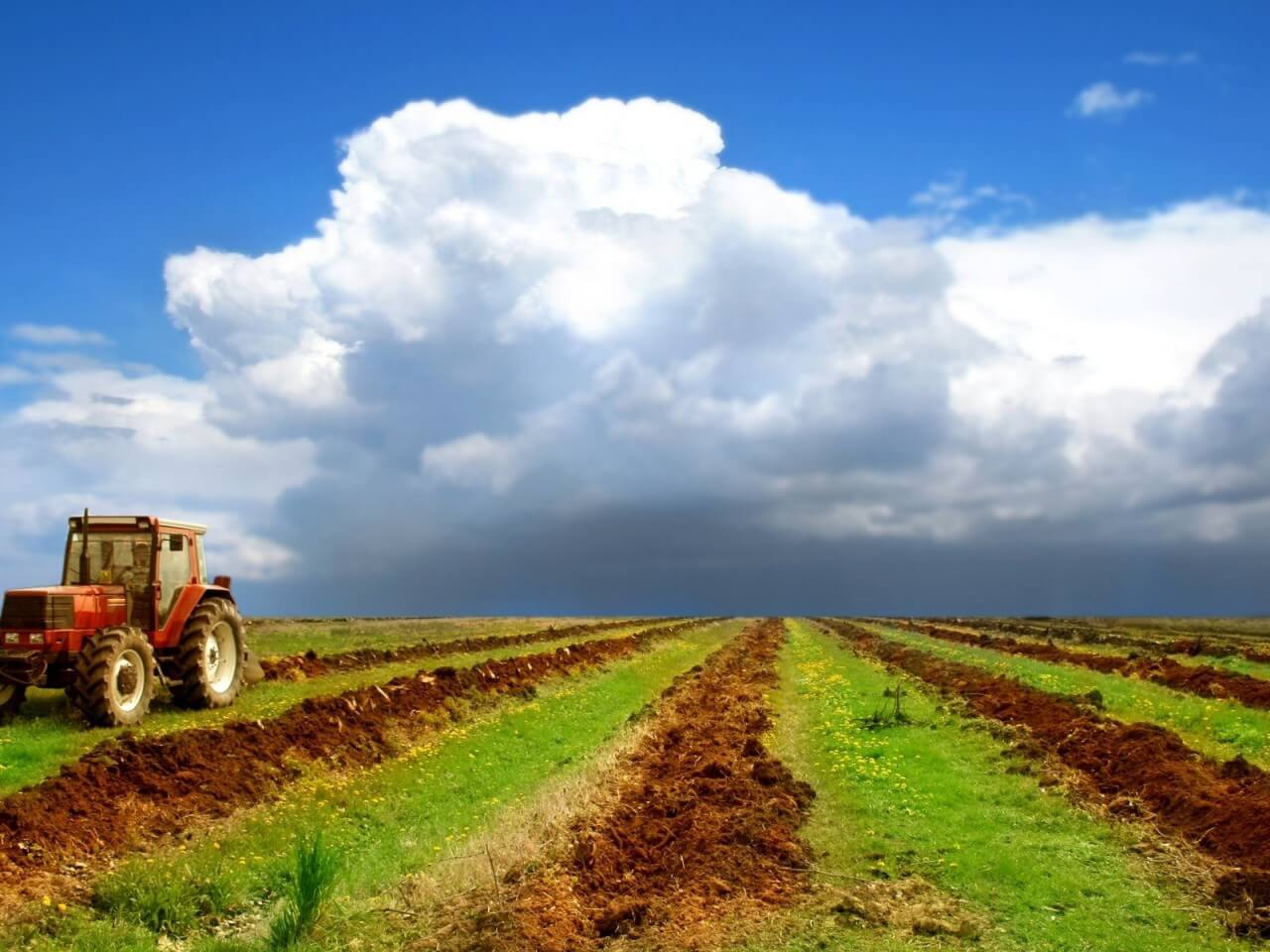 Современная глобальная сельскохозяйственная система способна прокормить лишь 3,4 миллиарда человек. Фото.
