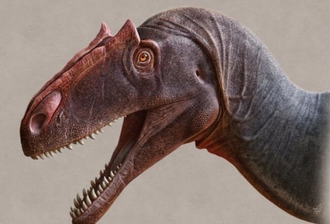 Открыт новый динозавр, который был опаснее тираннозавра-рекса. Фото.