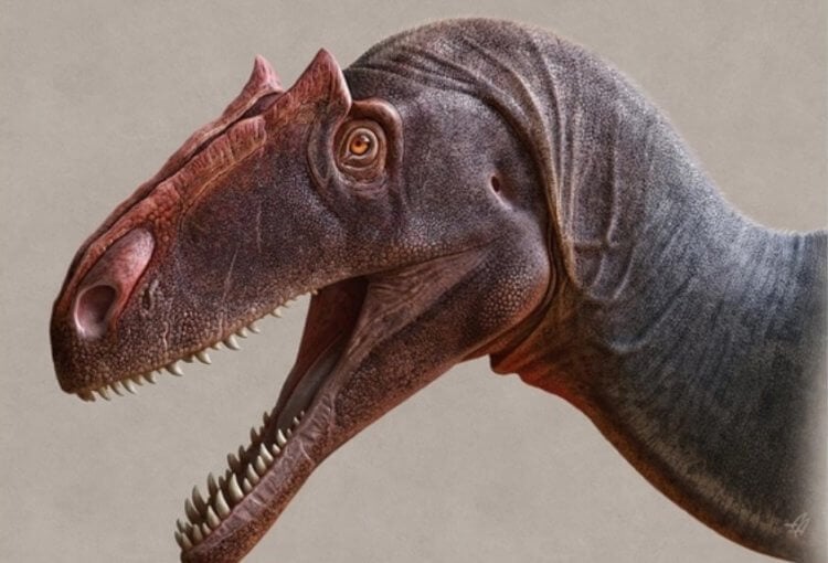 Открыт новый динозавр, который был опаснее тираннозавра-рекса. Так выглядит Allosaurus Jimmadseni в представлении художника. Фото.