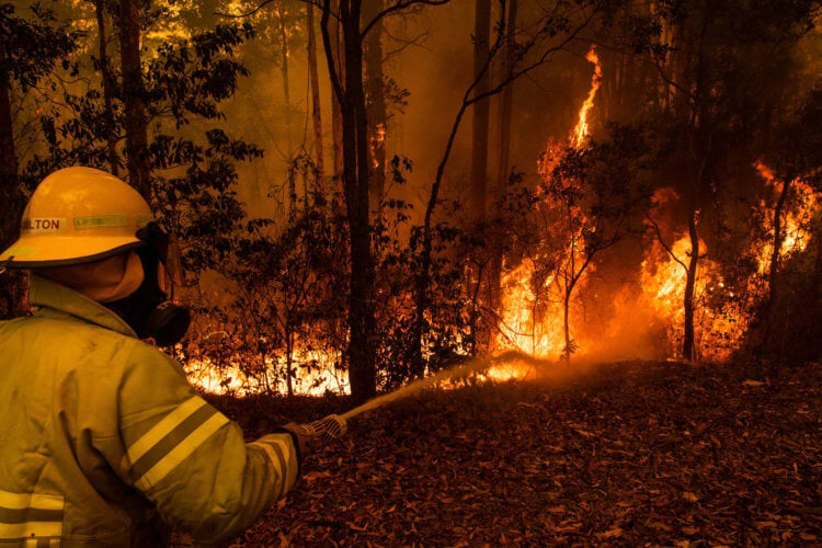 Так выглядит катастрофа. Пожарный сдерживает распространения огня по территории страны. Фото.