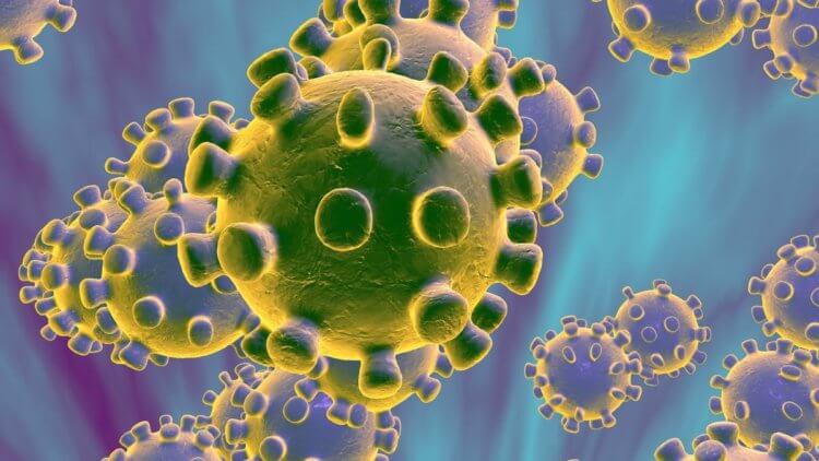 Опасное семейство коронавирусов. Вакцины от SARS и MERS сегодня не существует. Фото.