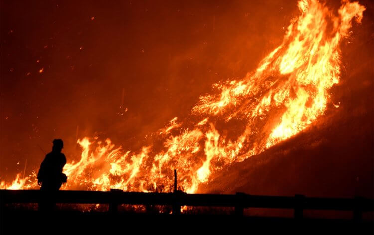 Ученые были правы. Как в 2019 году мир окончательно признал проблему изменения климата. Пожары в 2019 году стали одними из самых суровых за последние десятилетия. Фото.