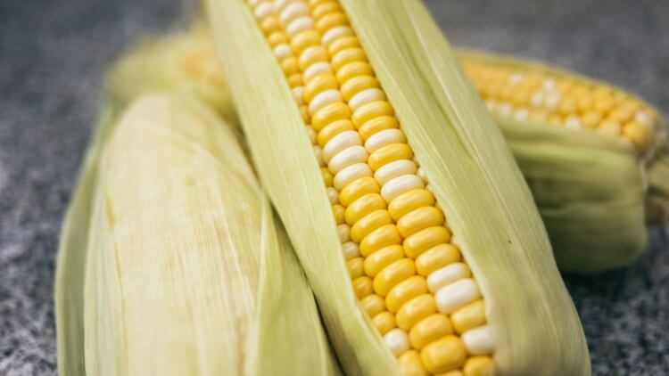 Как ускорить рост растений? Примерно так должен выглядеть идеальный початок кукурузы. Фото.