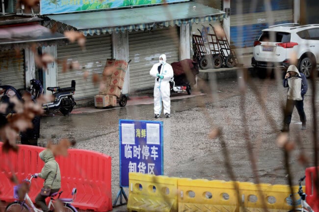 Китай закрыл 13 городов из-за коронавируса, а возможной причиной эпидемии называют змей. Фото.