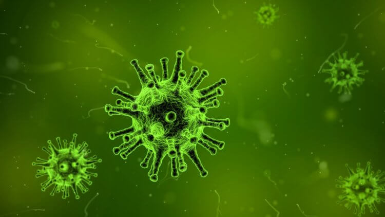 Что такое коронавирус? Примерно так выглядит коронавирус. Фото.