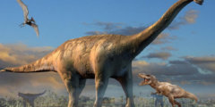 Четвероногие динозавры могли ходить на двух ногах, но только в определенных условиях. Фото.