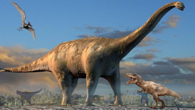 Четвероногие динозавры могли ходить на двух ногах, но только в определенных условиях. Фото.
