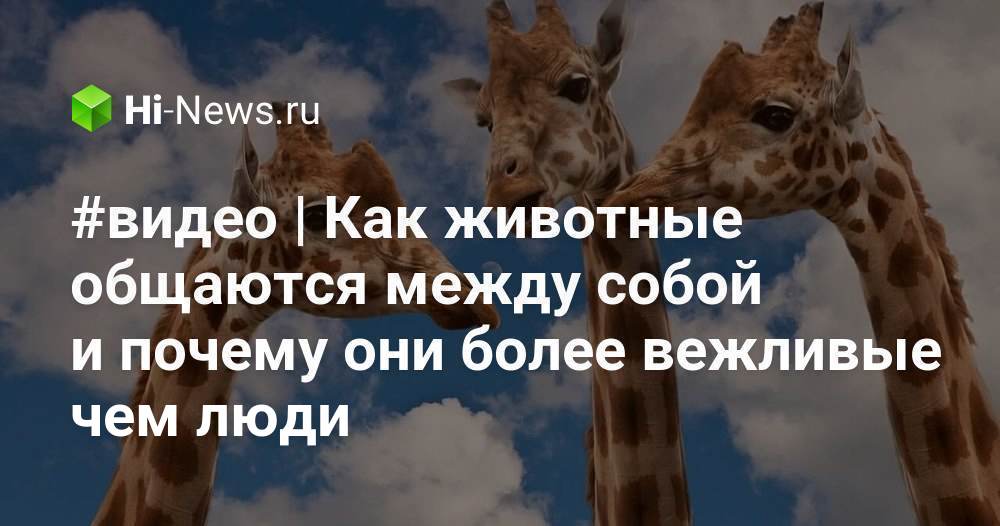 Привести примеры как животные общаются между собой