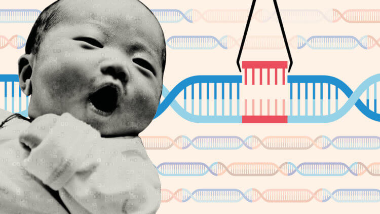 Китай подтвердил рождение третьего генетически модифицированного ребенка. В 2019 году на нашей планете появилось целых три ребенка с отредактированным геномом. Фото.