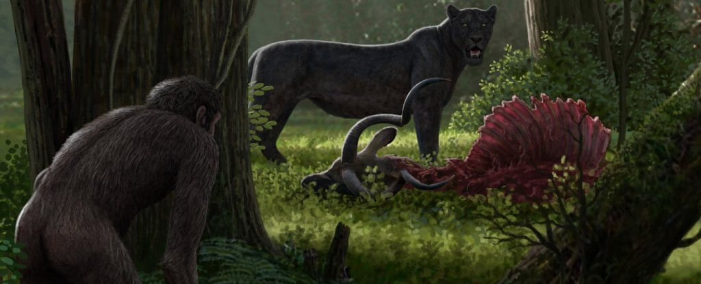 Когда человек начал уничтожать природу? Древние люди могли оставить некоторых хищников без пищи. Фото.