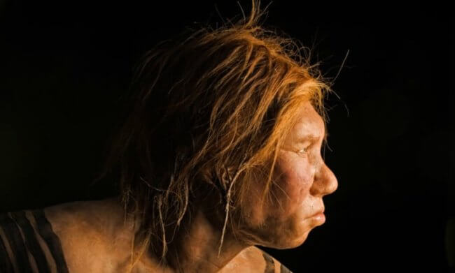 Почему ученые так уверены, что неандертальцы были опытными пловцами? Фото.