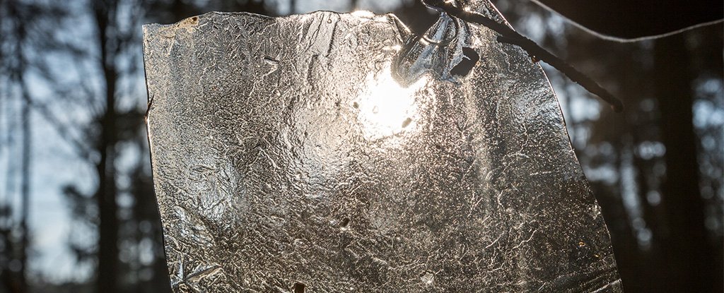 Глобальное потепление может возродить древние вирусы. В многолетних обледенелостях вполне могут сохраниться древние вирусы. Фото.