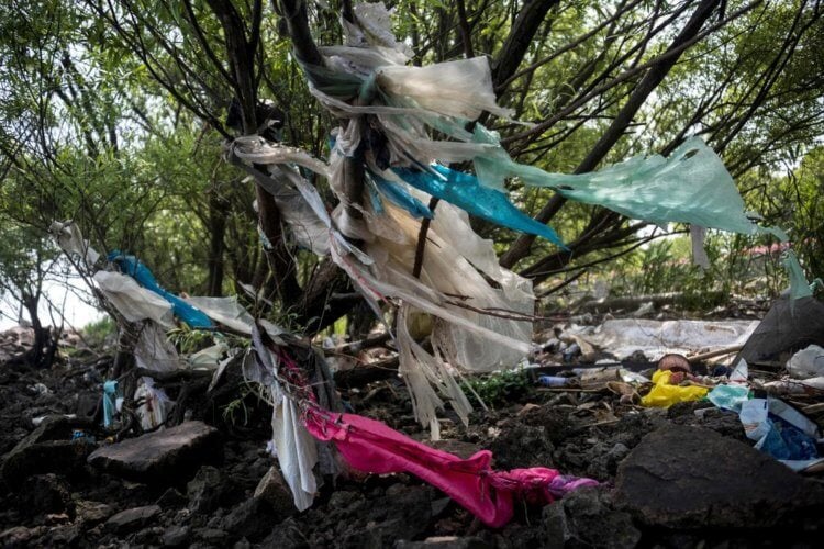 Как Китай борется с пластиковыми отходами? Пластиковые отходы, вымытые на берег в Шанхае. Фото.