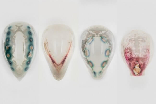 #видео | На 3D-принтере можно напечатать украшения, состоящие из красивых бактерий. Фото.