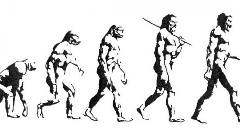 Вклад вирусов в исследование эволюции. В этой цепочке можно найти следы вирусов. Фото.