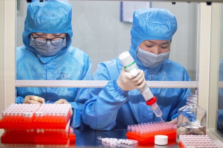Может ли «нулевой пациент» стать причиной эпидемии? Исследователи всего мира работают над созданием вакцины против коронавируса. Фото.
