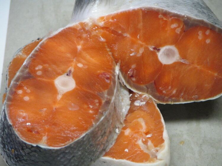 Уникальный организм. Так выглядит мясо лосося, зараженного Henneguya salminicola. Фото.