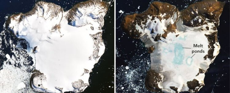 Последствия потепления в Антарктиде. Остров Игл, снятый на спутник Landsat 8. Фото.
