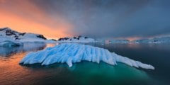 Температура в Антарктиде поднялась до рекордного показателя. Фото.