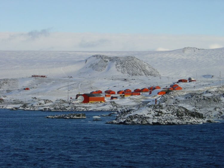 Самая высокая температура в Антарктиде. Так выглядит антарктическая станция «Эсперанса». Фото.