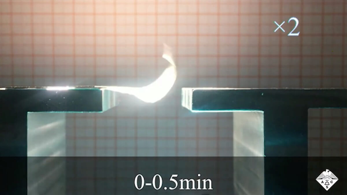 Созданы крылья для роботов-насекомых, работающие только на энергии солнца. Созданные крылья сгибаются и разгибаются под воздействием солнца. Фото.