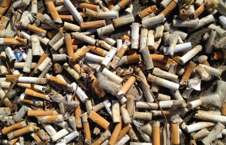Как сигареты вредят природе? Важно отметить, что в самом табачном дыме содержится более 4000 опасных веществ, которые могут спровоцировать развитие рака. Ученые же упоминают о восьми веществах, которые выделяют потушенные окурки. Фото.