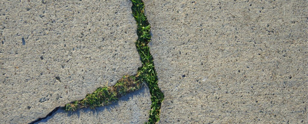 Материал нового типа может перевернуть наши представления о технологии строительства зданий будущего. Фото.